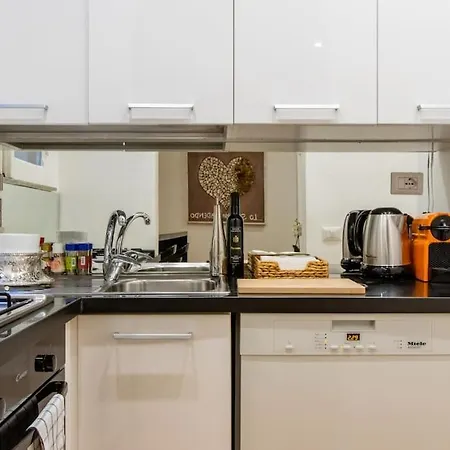 Historic With Terraces Apartment Rom